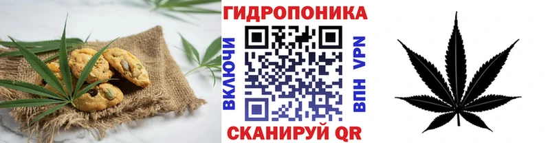 ссылка на мегу зеркало Шали Cannafood марихуана