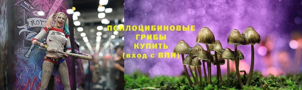 крисы Балабаново