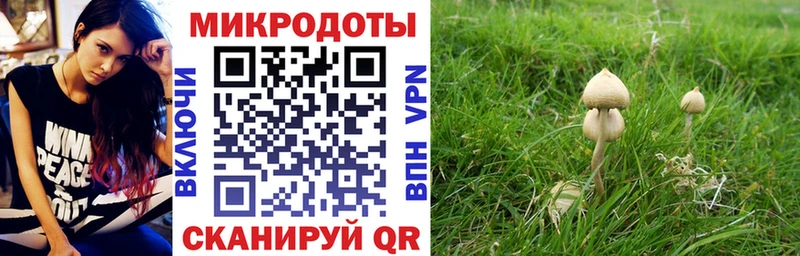 Псилоцибиновые грибы мицелий  Шали 