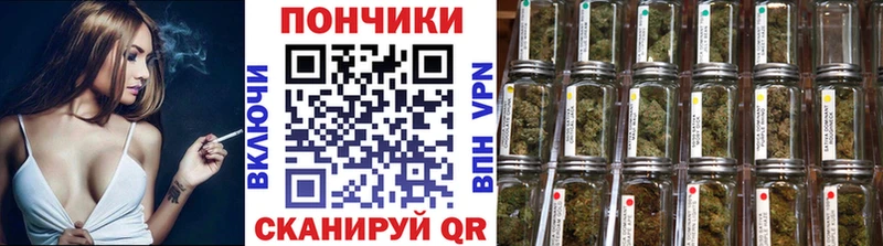 Шишки марихуана SATIVA & INDICA  купить наркотики сайты  Шали 